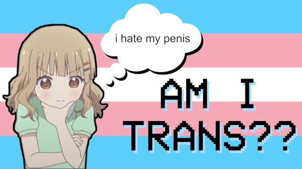 are you trans