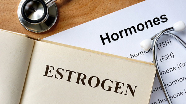 estrogen