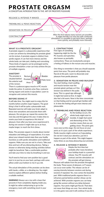 A Guide To The Elusive Sissygasm Sissy Things