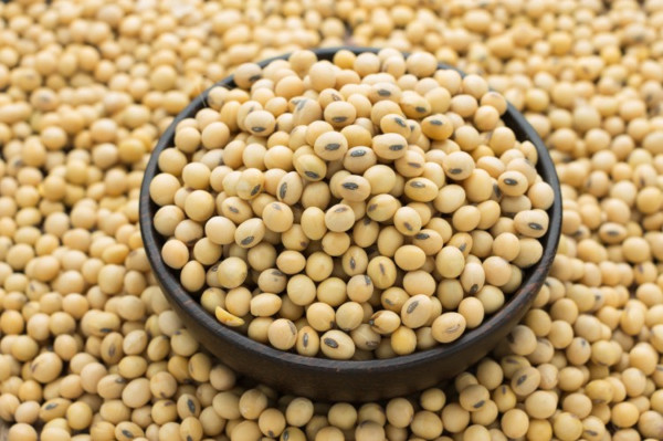 soybeans